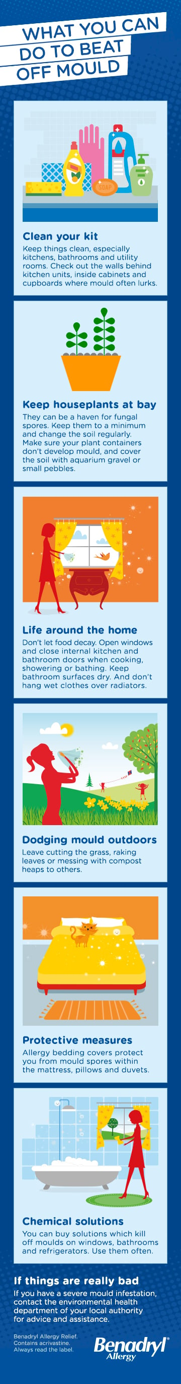 Mould Infographic