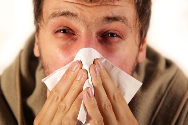 Sneezing, a possible symptom of allergies